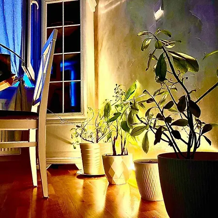 Apartment Cosy Retreat 135